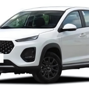 Tiggo 2